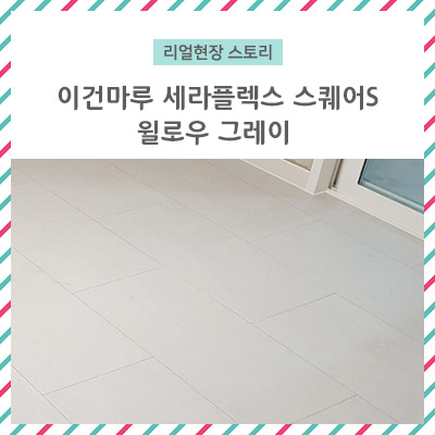 셀플렉스 이미지