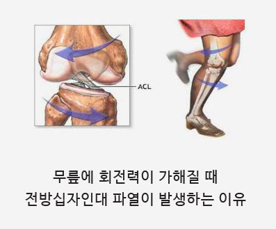 새부산스포츠 이미지