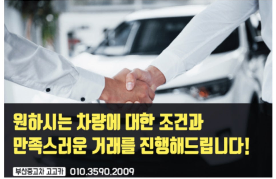 고고카 이미지