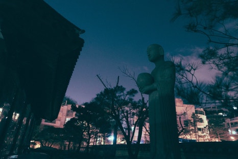 대하축산 이미지
