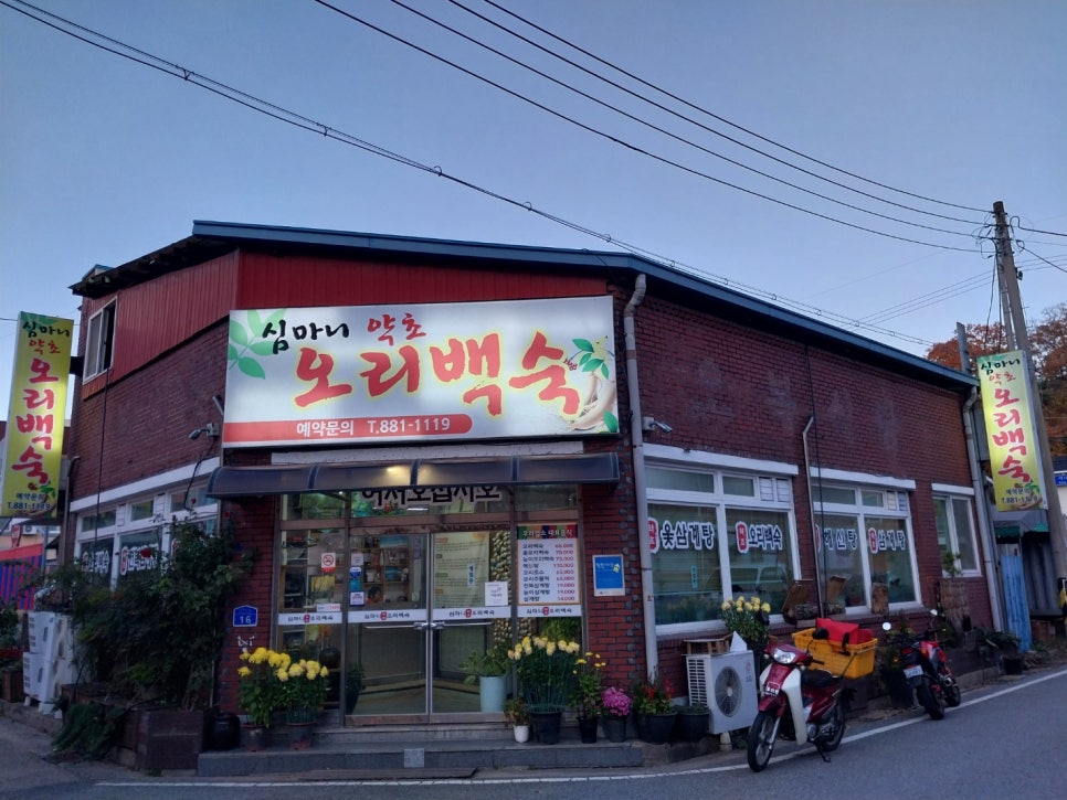심마니약초백숙 이미지