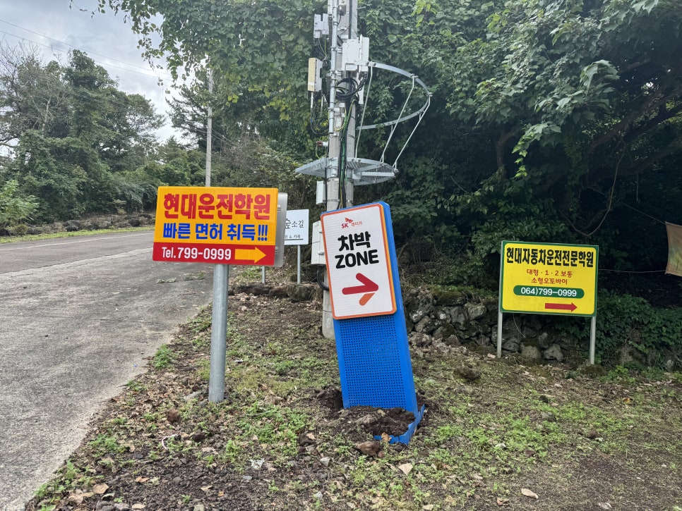 현대자동차학원 이미지