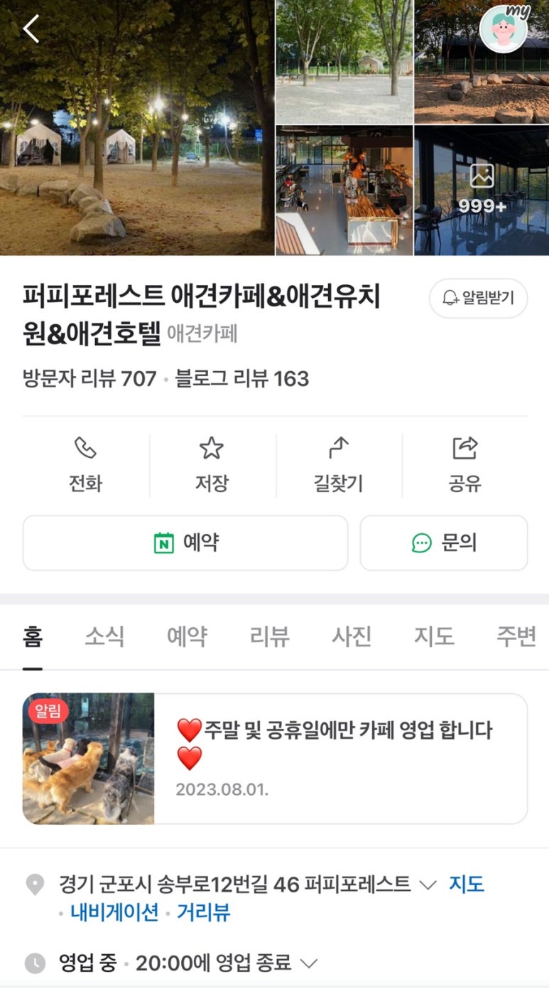퍼피포레스트 이미지