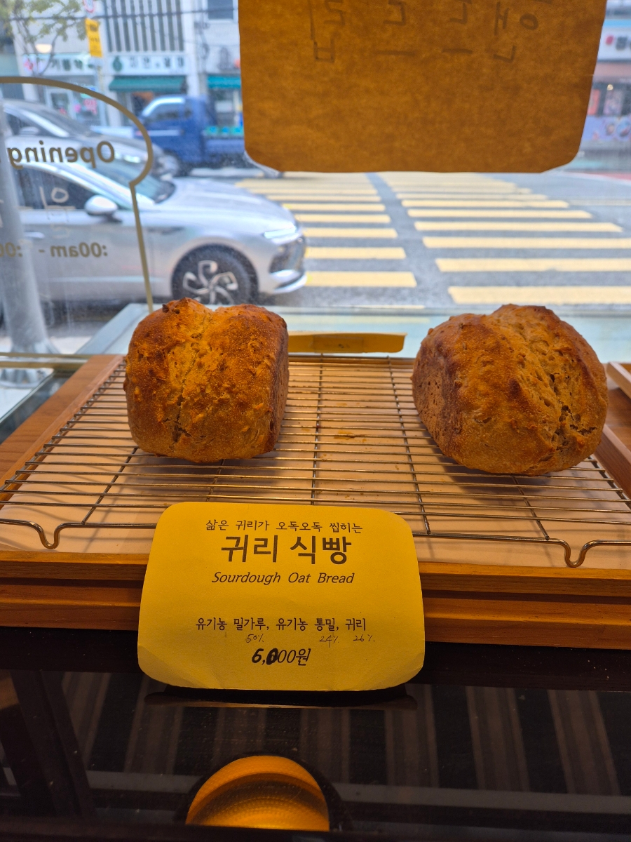 오늘 사진 8