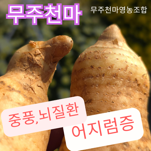 천마자연식품 이미지