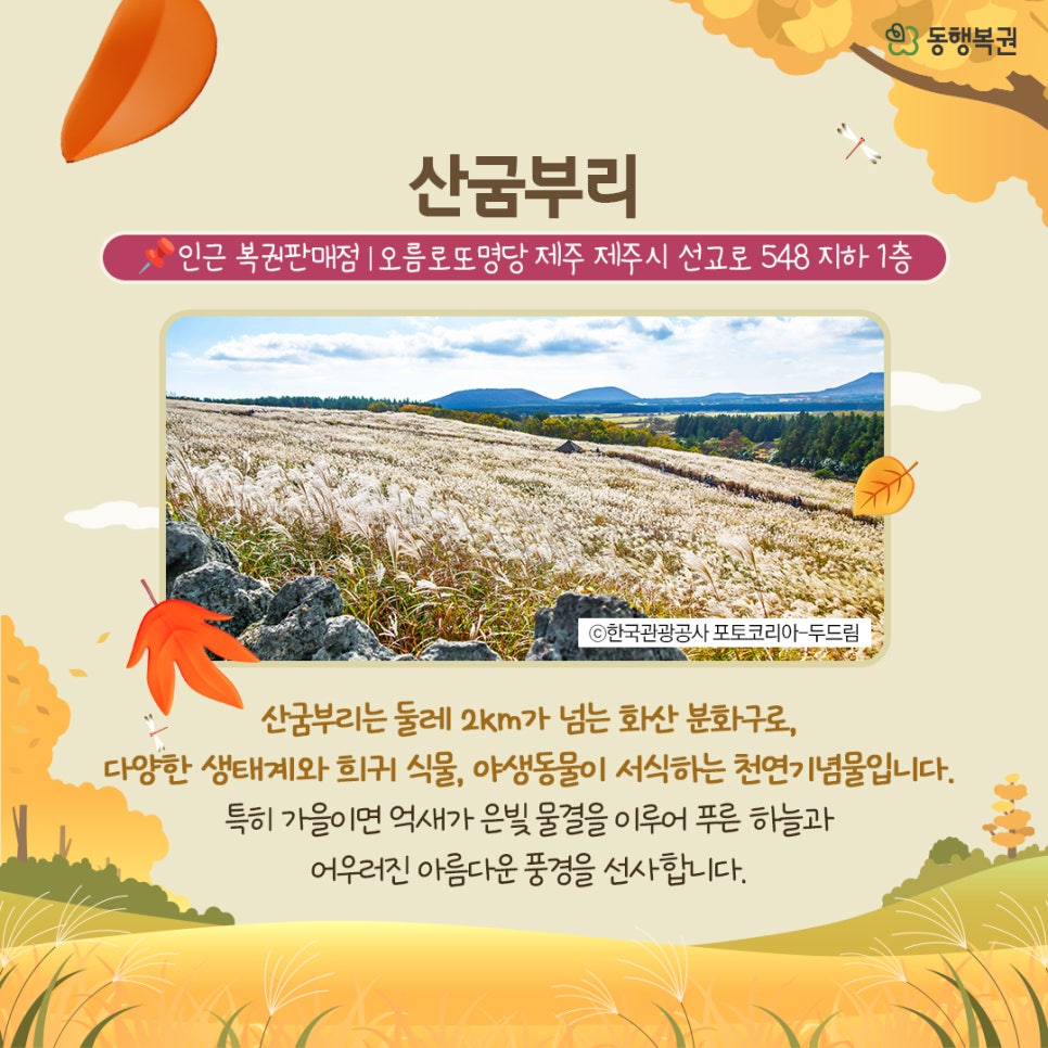 화산복권판매점 이미지