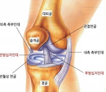 새부산스포츠 이미지