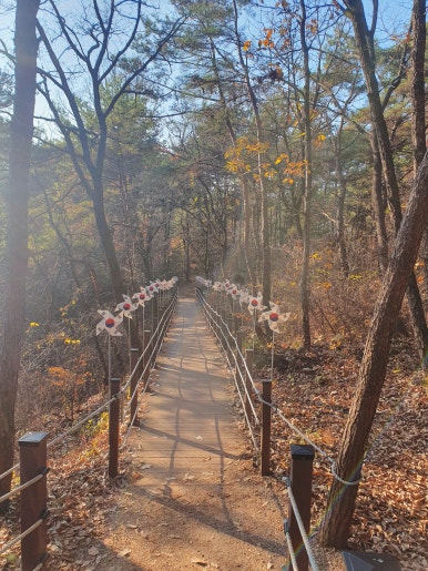 꼬망국수 이미지