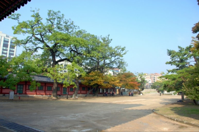 나무특별시 이미지