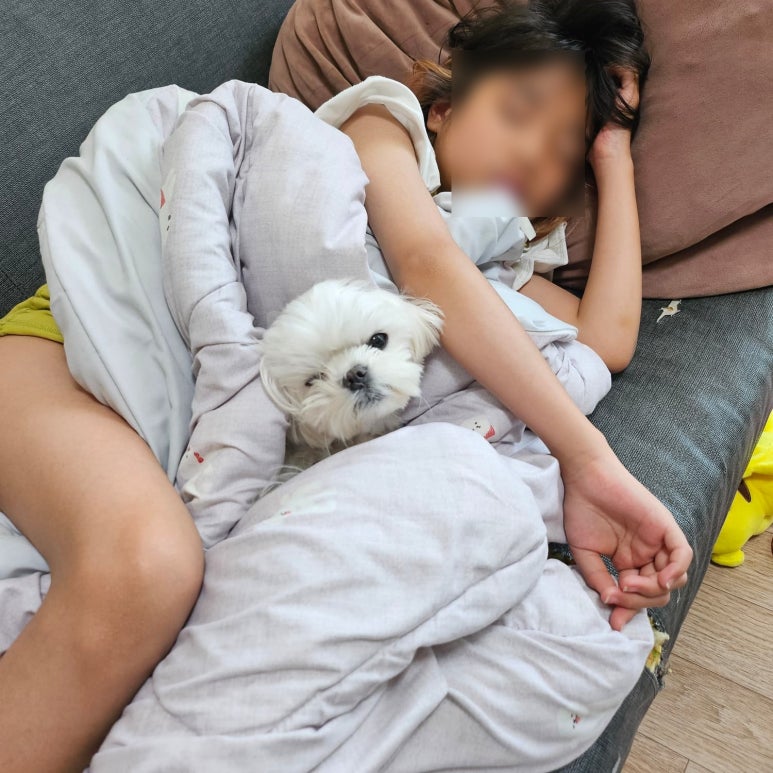 뷰티라움 이미지