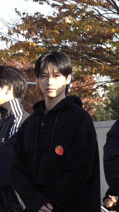 바롬 이미지