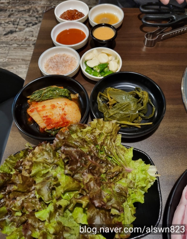 호팬치키니 이미지