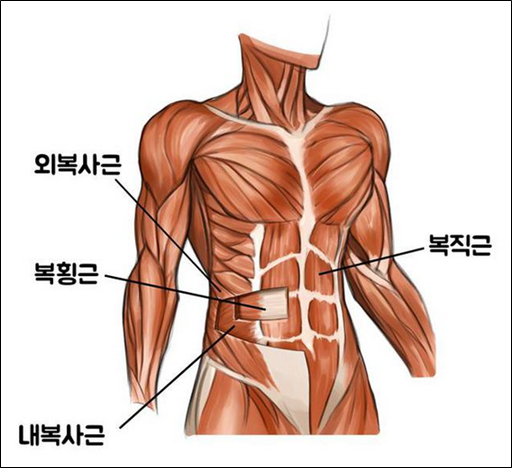 제이스타 이미지