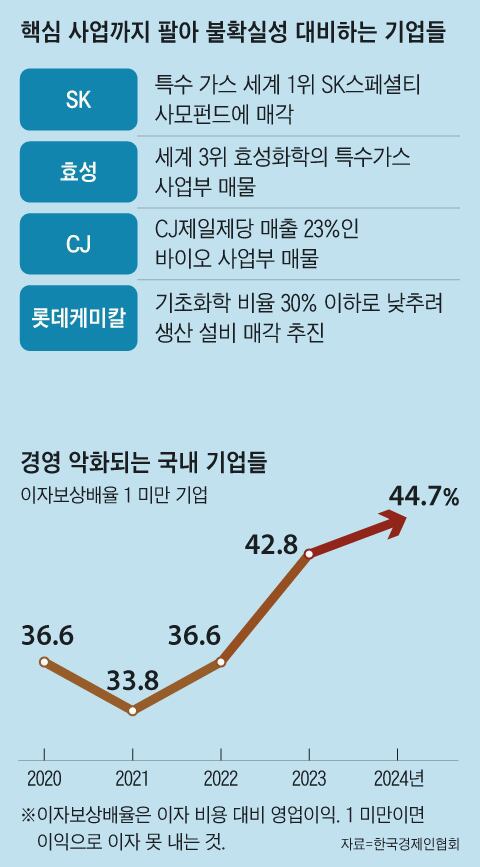 바이오슈 이미지