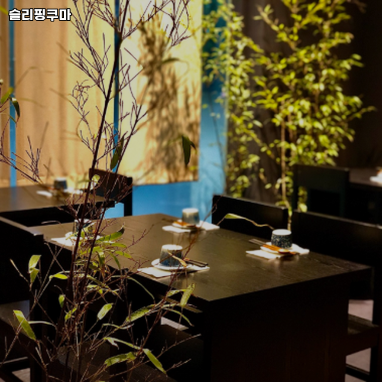 슬리핑쿠마 이미지