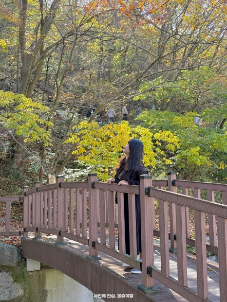상관편백숲공방 이미지