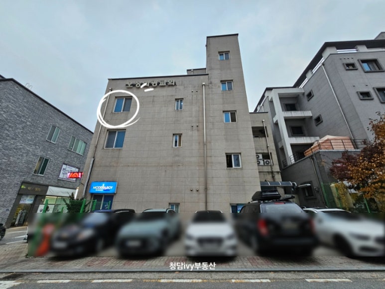 오창돼지토토 이미지