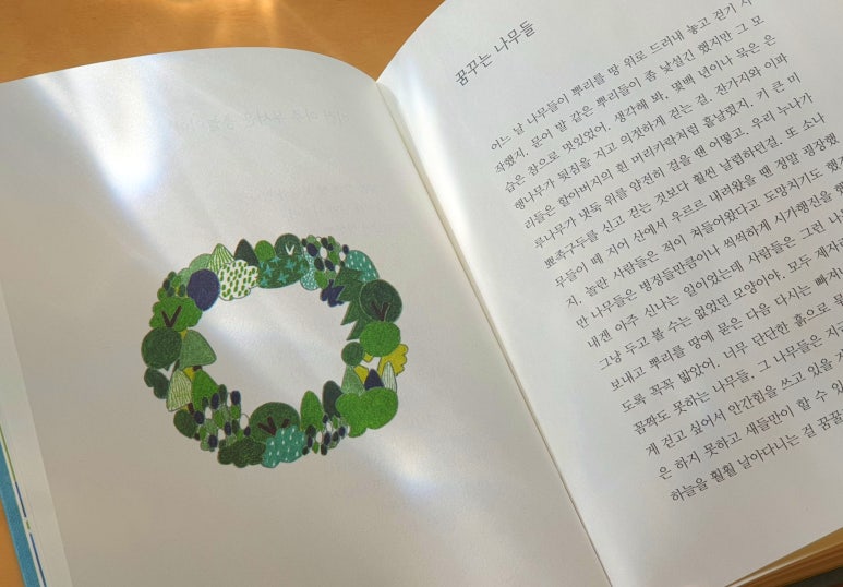 꿈꾸는나무 이미지