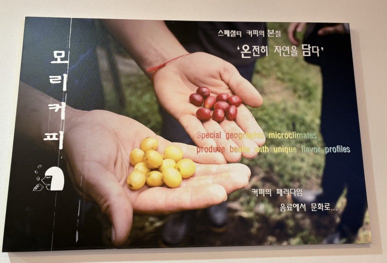 모리커피 경주용황점 이미지