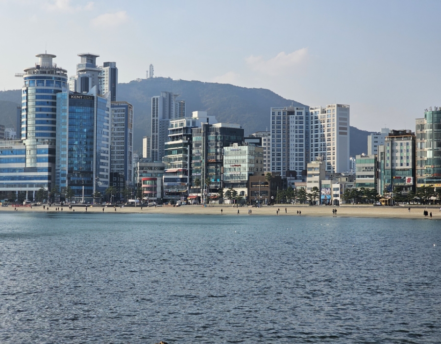 젊은이의양지 광안본점 이미지