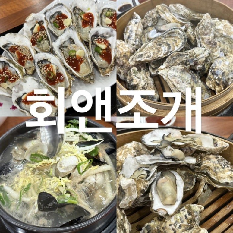 회앤조개 이미지