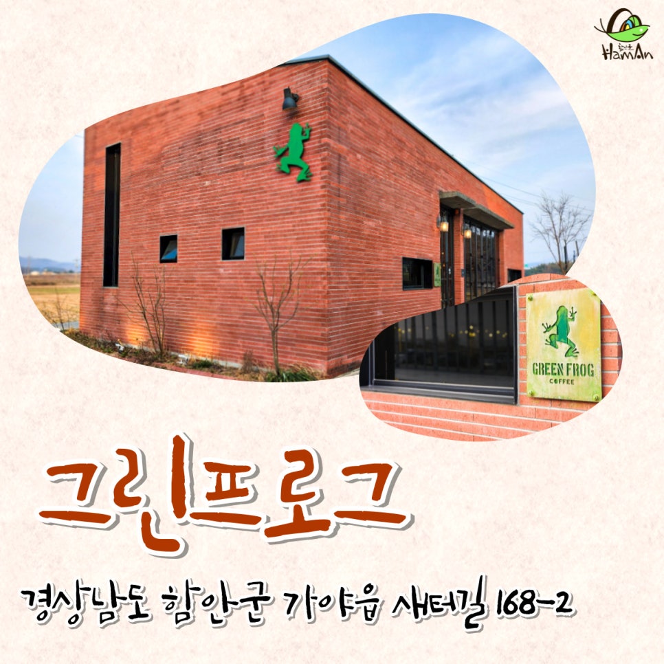 노바블룸디자인 이미지