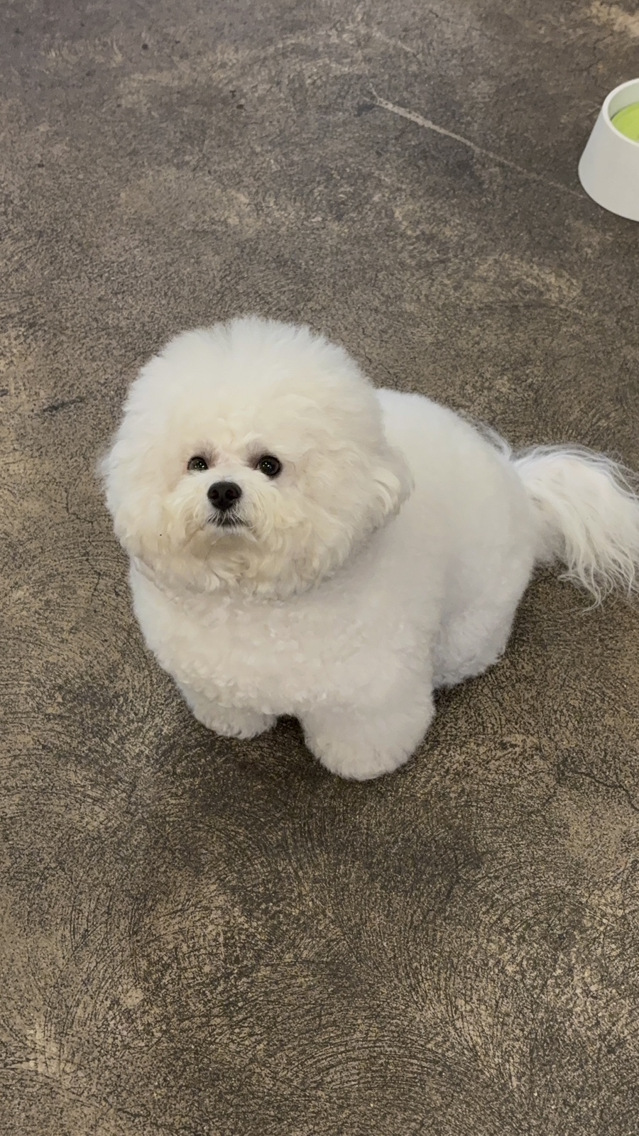 88포장마차천안두정점 이미지