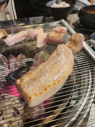식껍 이미지