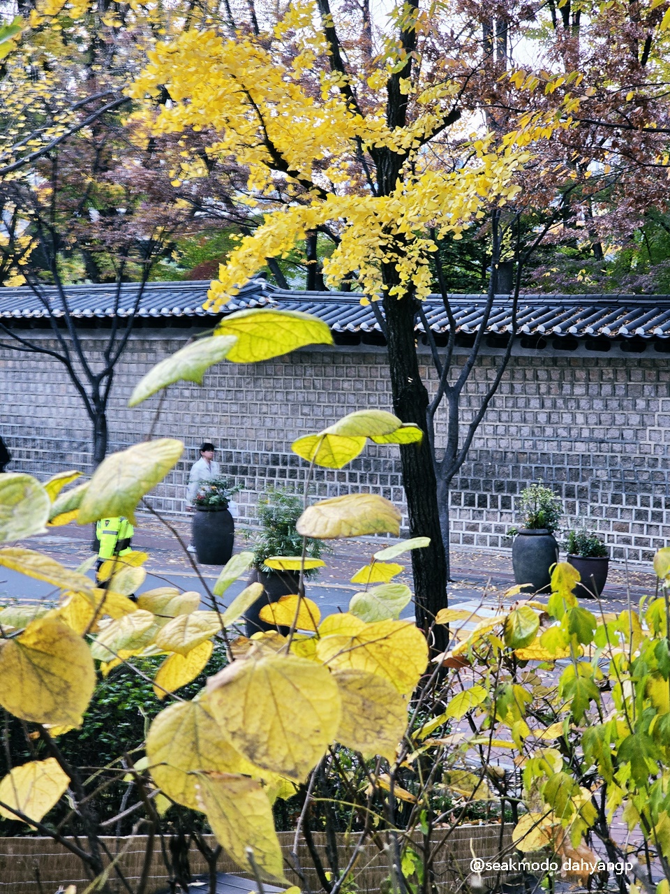 라에주 이미지