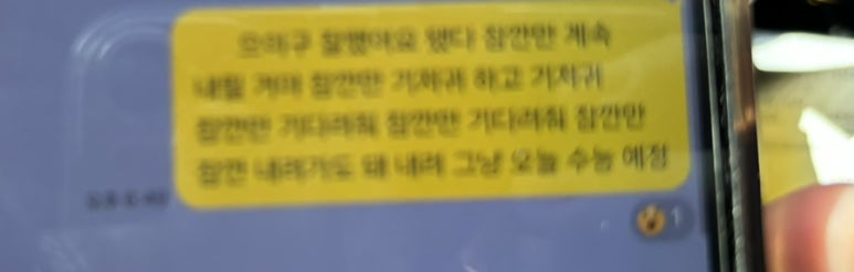 샬롬랜드 이미지