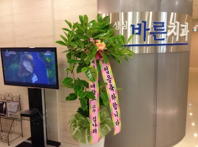성심치과 이미지