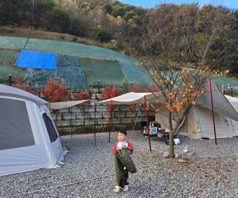 진천포레스트캠핑장 이미지