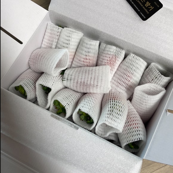 이영돈딸기 이미지