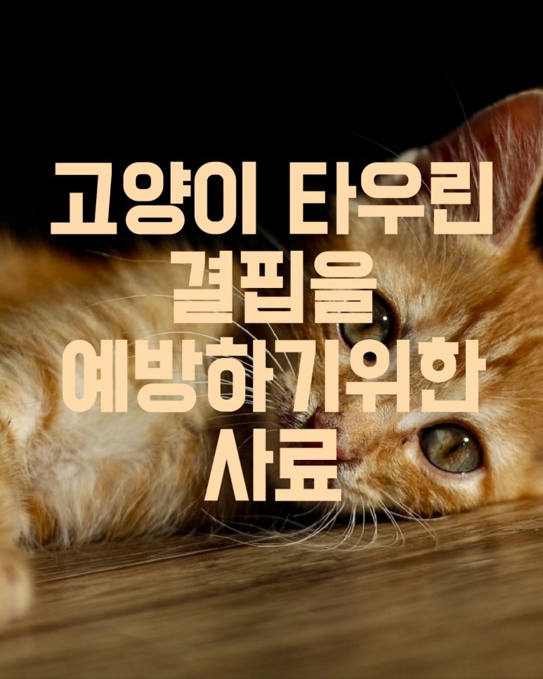 고양이 타우린 결핍을 예방하기 위한 사료