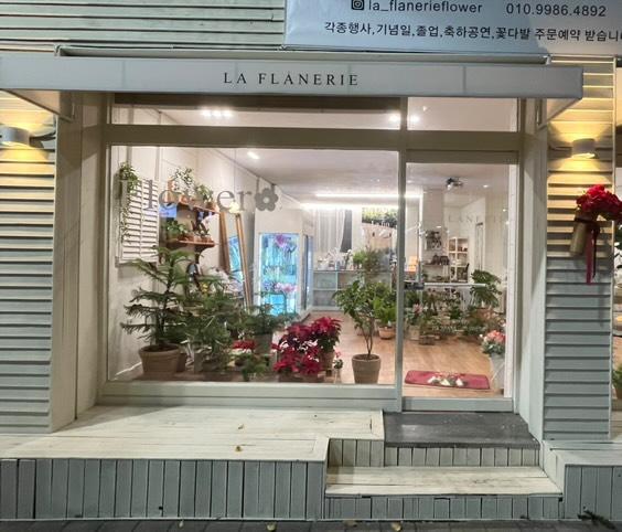 라플라너리 이미지