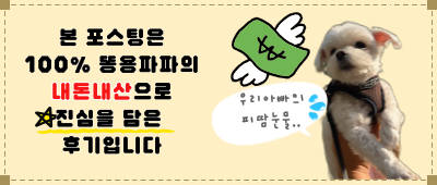 은성복어 이미지