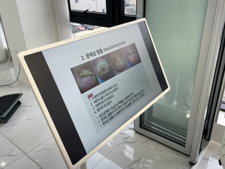 레푸스전주 이미지