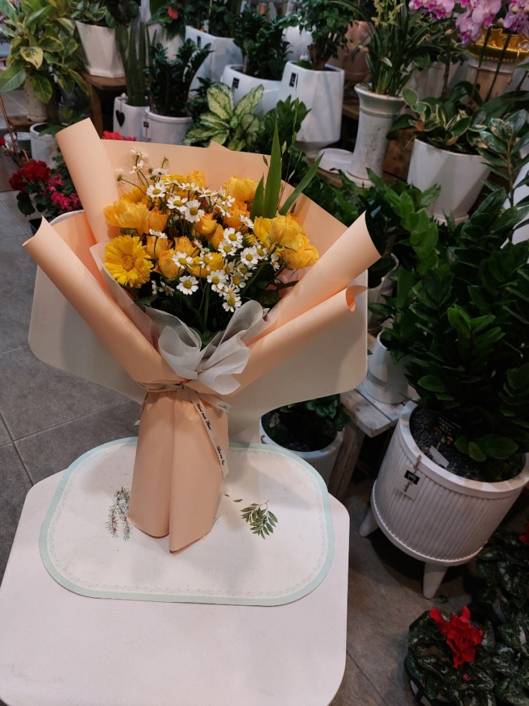 풀림화원 이미지