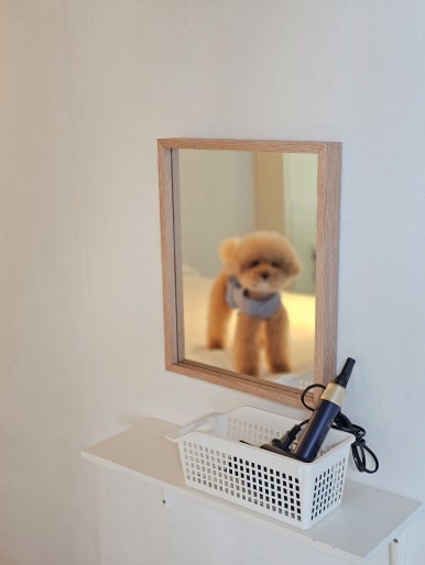속초오션뷰 스파펜션 오션11 이미지