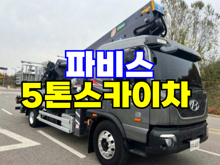 파비스온 이미지