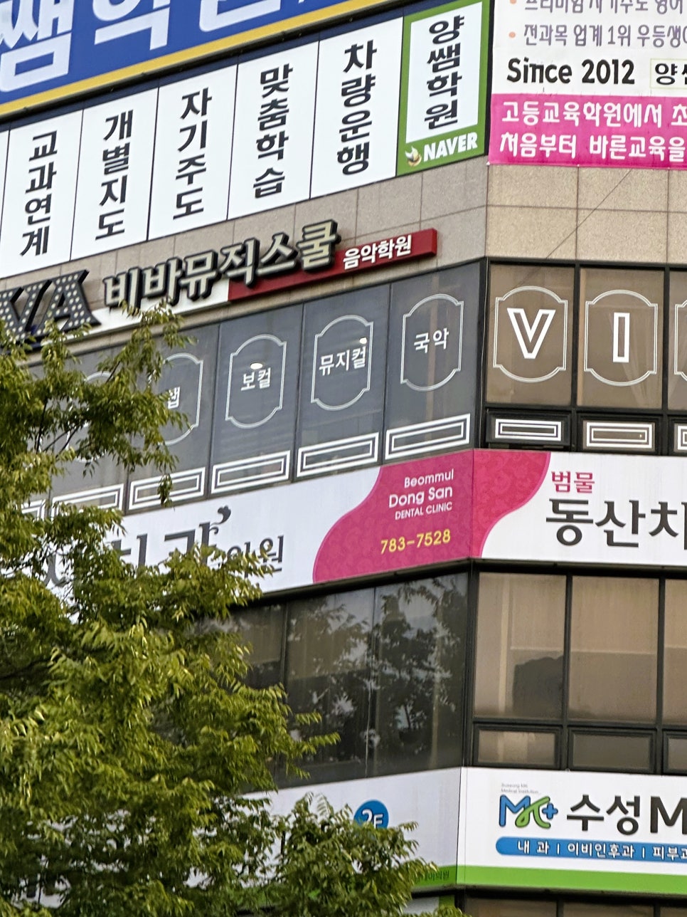 비바음악학원 이미지