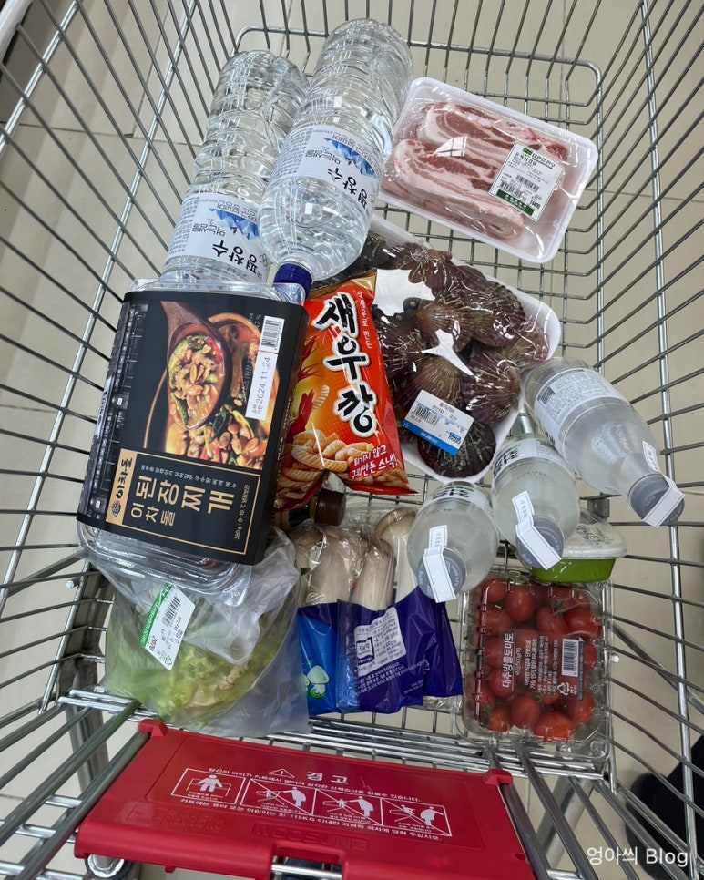 나대관령왔어 이미지