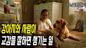인 이미지