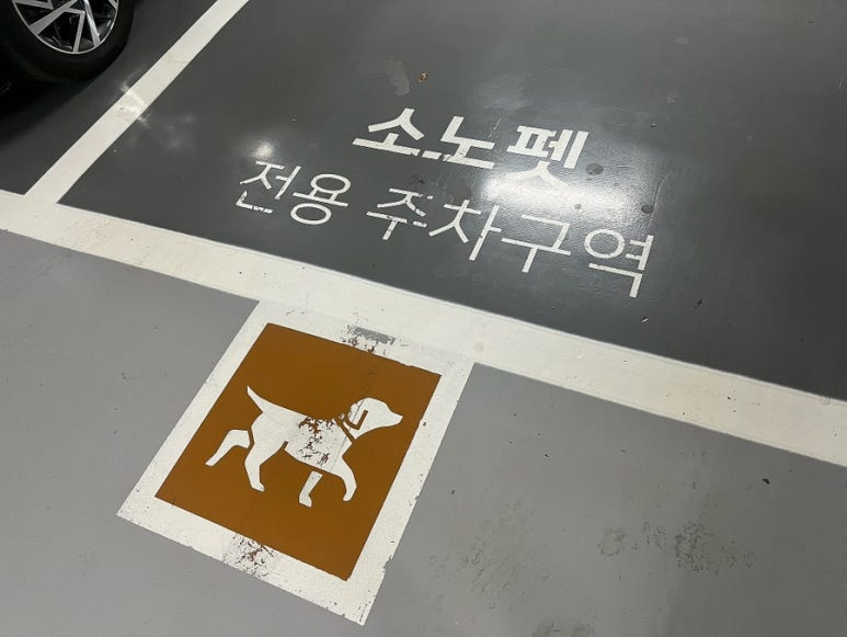 강아지 일산 강아지 훈련: 소노펫 스쿨 독 피트니스 후기