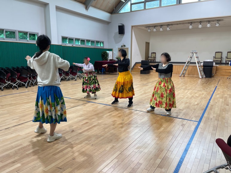 한국현대훌라예술원 이미지