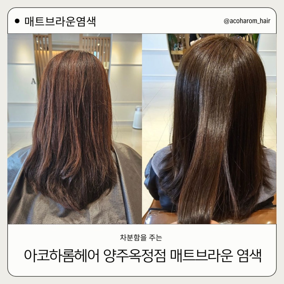 아코하롬헤어양주 이미지