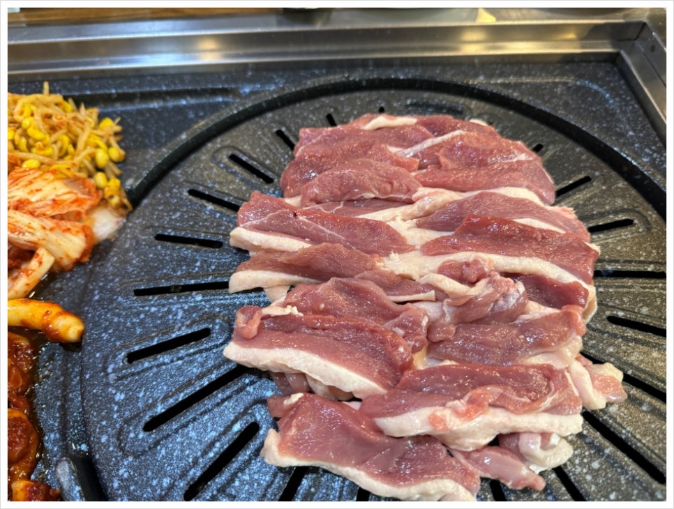 오리한마리 이미지