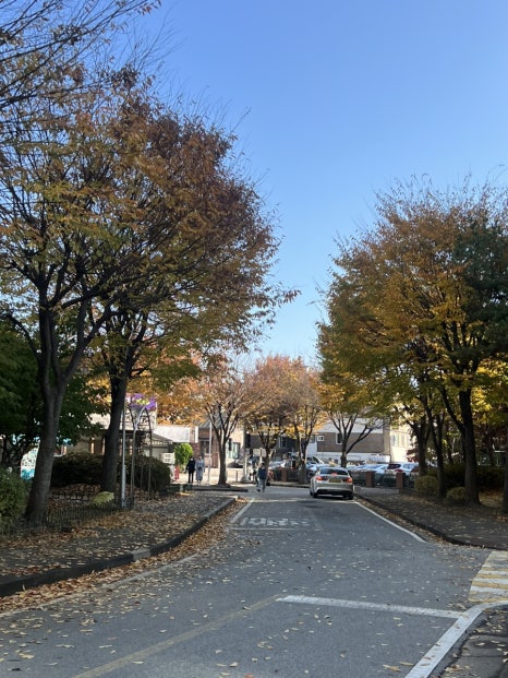 이태원실비 사진 6