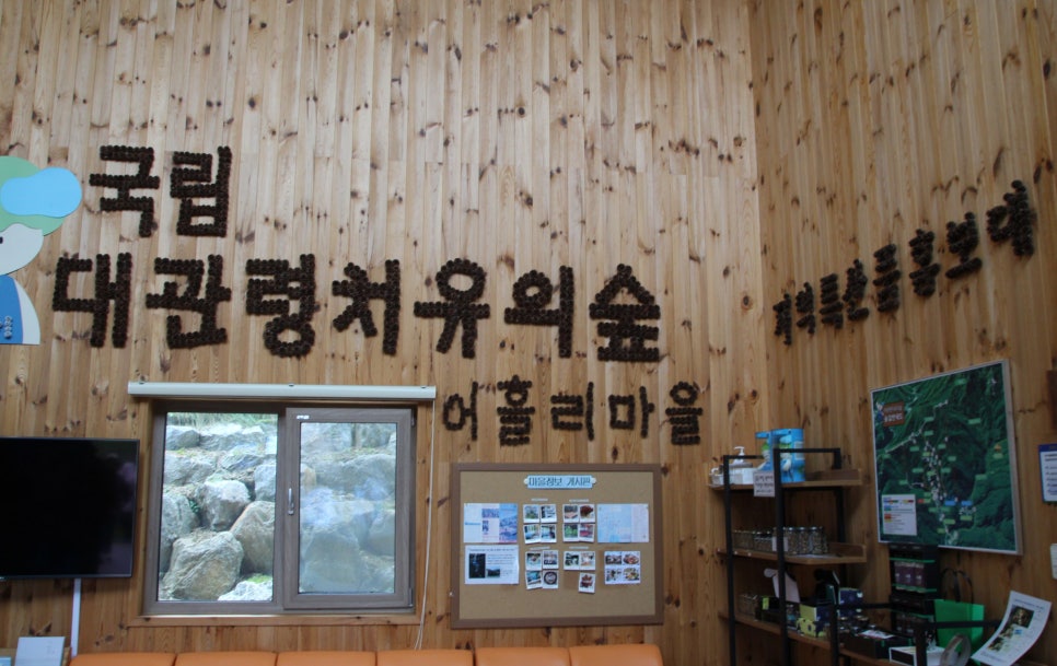 대관령톡톡 이미지