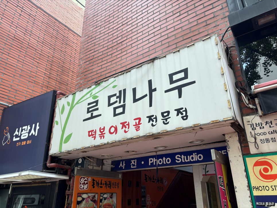 로뎀나무 이미지